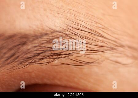 macro dettaglio delle sopracciglia dell'occhio Foto Stock