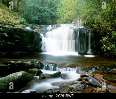 Cascata Sul Fiume Caerfanell, Blaen Y Glyn, Brecon Beacons National Park, Powys, Galles. Foto Stock