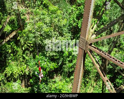 Amaga, Antioquia, Colombia - Luglio 18 2021: L'uomo ispanico Bungee salta con l'imbracatura nel bosco Foto Stock