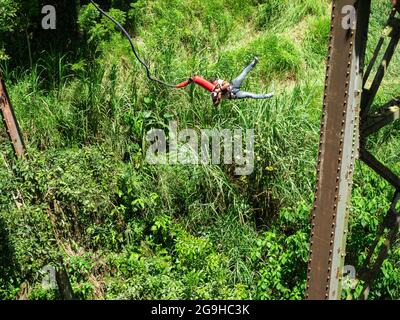 Amaga, Antioquia, Colombia - Luglio 18 2021: L'uomo ispanico Bungee salta con l'imbracatura nel bosco Foto Stock