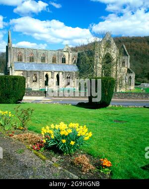 Tintern Abbey, Wye Valley, Monmouthshire, Galles del Sud. Foto Stock