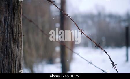 Recinzione elettrica con fili spannati ad Auschwitz. Il più grande campo di concentramento e sterminio della Germania. Stagione invernale con leggera nevicata. Area coperta di neve. Foto Stock