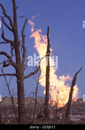 Brenham Texas USA, aprile 71992: La fiamma sale da perdite di gasdotto naturale ore dopo l'esplosione del gasdotto, livellando un'area rurale al di fuori del Brenham, uccidendo una persona e diversi bovini, e ferendo un punteggio di persone. ©Bob Daemmrich Foto Stock