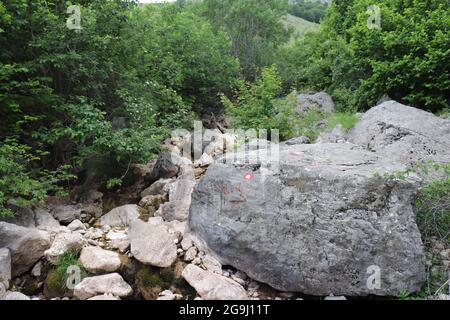 Red Blaze sulla roccia Foto Stock