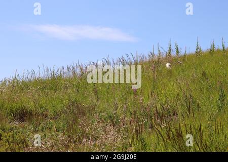 Belle cime dei monti Vranica in Bosnia Erzegovina Foto Stock