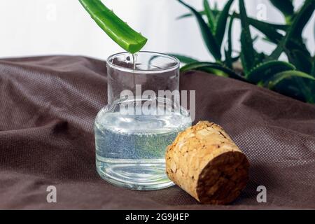 Una lozione Aloe vera Foto Stock