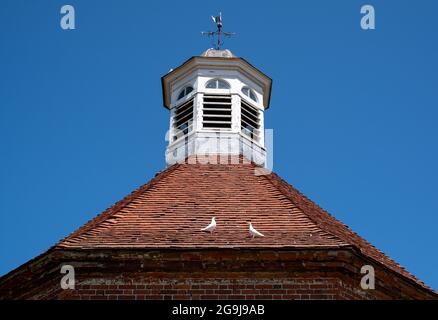 Storica colombaia ottagonale nel giardino murato di Felbrigg Hall vicino a Cromer nel Norfolk del Nord. East Anglia, Regno Unito Foto Stock