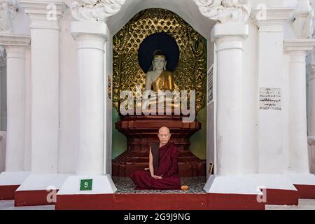 Un monaco in preghiera nella Pagoda Shwedagon di Yangon in Myanmar Foto Stock