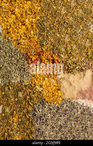 Set di spezie aromatiche di pesce. Condimenti per il timo, il pepe, la curcuma, il coriandolo, il dragoncello, aglio. Vista dall'alto. Foto Stock