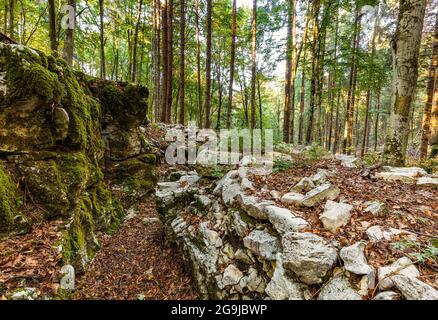 Italia Veneto Monte Grappa - col Campeggia Foto Stock