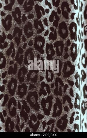 La texture della pelle di leopardo pronta da utilizzare per il vostro design Foto Stock