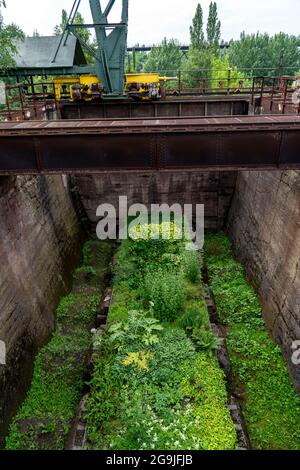 Duisburg North Landscape Park, giardini nel vecchio bunker minerale, NRW, Germania Foto Stock