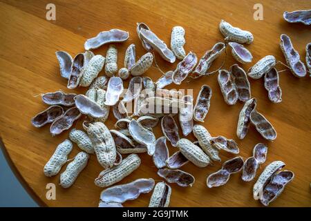 Primo piano di un mucchio di conchiglie di arachidi finite sul tavolo da pranzo Foto Stock