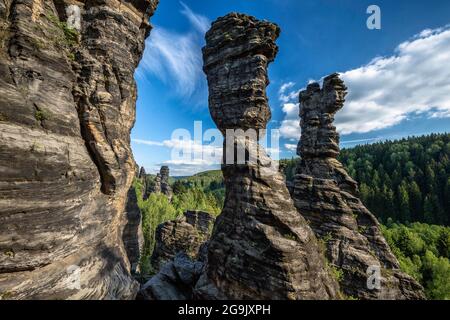 Colonne di Ercole nel Bielatal, montagne di pietra arenaria dell'Elba, Parco Nazionale della Svizzera sassone, Sassonia, Germania Foto Stock