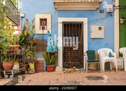 Primo piano di porte, finestre e vasi di fiori di case di pescatori blu a Villajoyosa, Spagna Foto Stock