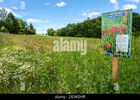 Strisce fiorite come habitat per piccoli animali e insetti su terreni agricoli con poster pubblicitario per la diversità colorata, Germania Foto Stock