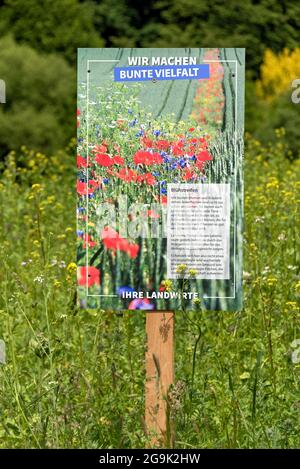 Strisce fiorite come habitat per piccoli animali e insetti su terreni agricoli con poster pubblicitario per la diversità colorata, Germania Foto Stock