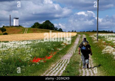 Uomo con zaino, escursionista su Kolonnenweg, sentiero escursionistico attraverso prati e campi, Lochplattenweg, torre di osservazione delle truppe di confine della RDT, confine Foto Stock