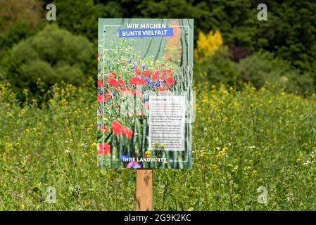 Strisce fiorite come habitat per piccoli animali e insetti su terreni agricoli con poster pubblicitario per la diversità colorata, Germania Foto Stock