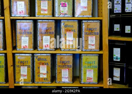 Vari tè in barattoli sullo scaffale, Austria Foto Stock