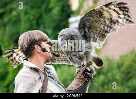 Potsdam, Germania. 20 luglio 2021. Il grande Orned Owl Ole atterra sulla mano di falconer Ilka SIMM-Schönholz durante un programma di rapaci a Falkenhof Ravensberge. Il Falkenhof insegna ai visitatori lo stile di vita degli uccelli rapaci nativi. Ecco una stazione di cattura e reintroduzione di animali selvatici per specie animali protette. Nella casa forestale dell'associazione Wald-Jagd-Naturerlebnis e.V. seminari, giorni di progetto e un campo di vacanza sono offerti. Credit: Jens Kalaene/dpa-Zentralbild/ZB/dpa/Alamy Live News Foto Stock