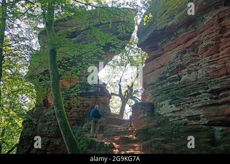 Escursionista a Old Castle Rock (Altschlossfelsen), torri di pietra di sabbia rossa nella foresta Palatina, Eppenbrunn, Renania-Palatinato, Germania Foto Stock