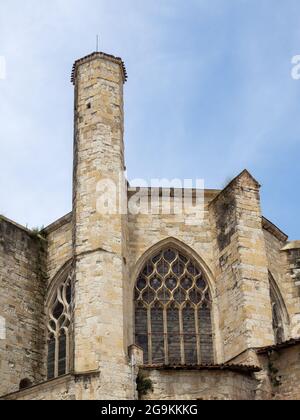 Particolare cattedrale di saint pierre de Condom, Gers, Francia Foto Stock