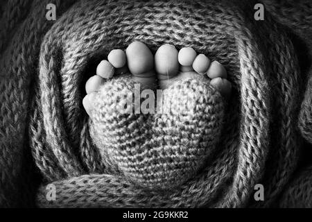 I piedi del bambino in una morbida coperta di lana blu chiaro. Punte piccole. Cuore lavorato a maglia nelle dita dei piedi del bambino. Foto in bianco e nero. Foto Stock