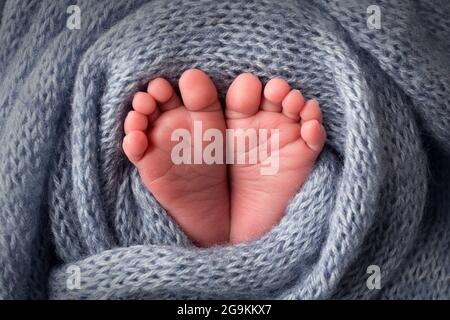 I piedi del bambino in una morbida coperta di lana blu chiaro. Punte piccole. Foto Stock