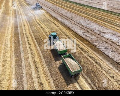 Vista aerea del trattore con mietitrebbia che raccoglie un campo di grano Foto Stock