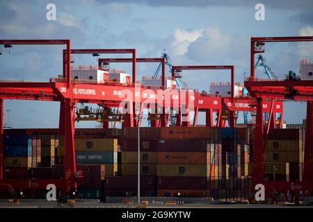 gru e contenitori di spedizione presso il terminal dei container di liverpool 2 freeport liverpool inghilterra uk Foto Stock