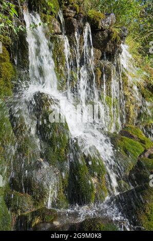 Piccola cascata e muschio nel Parco Nazionale di Theth, Albania Foto Stock