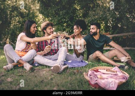 Amici multirazziali che tostano al pic nic. Gruppo di giovani che aggraffano gli occhiali da vino seduti sull'erba. Foto Stock