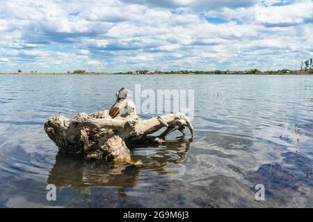 Ammira le acque salate del lago Malinovoe con vista sul paesaggio nuvoloso Foto Stock