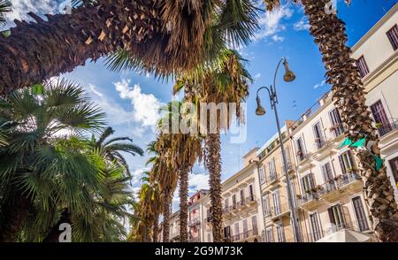 Bari, Italia - 10 settembre 2017: Viale delle palme, bella strada di Bari. Bari è la capitale della Puglia, sul Mare Adriatico, in Italia. Giorno estivo luminoso e soleggiato. Foto Stock