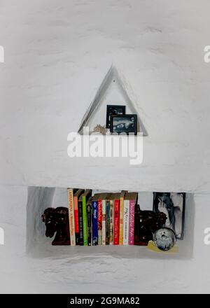 Interni della casa con vaso di fiori e scaffale. Foto Stock