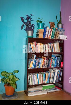 Interni della casa con vaso di fiori e scaffale. Foto Stock