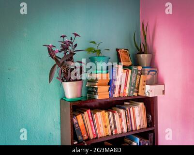 Interni della casa con vaso di fiori e scaffale. Foto Stock