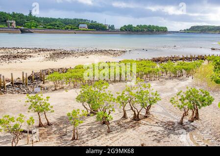 Bellissima spiaggia sull'isola di Yakushima, Giappone di Kagoshima Foto Stock