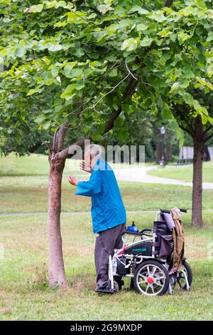 Un uomo di 86 anni fa Falun Gong esercizi lenti vicino ad un albero. A Queens, New York, un posto molto diverso. Foto Stock