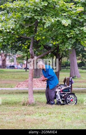 Un uomo di 86 anni fa Falun Dong esercizi lenti vicino ad un albero. A Queens, New York, un posto molto diverso. Foto Stock