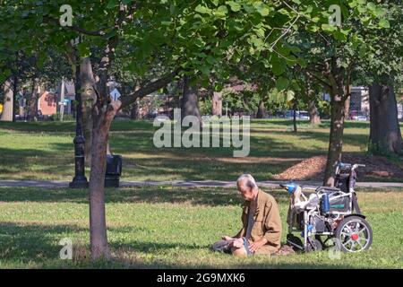 Un uomo di 86 anni fa Falun Gong esercizi lenti vicino ad un albero. A Queens, New York, un posto molto diverso. Foto Stock