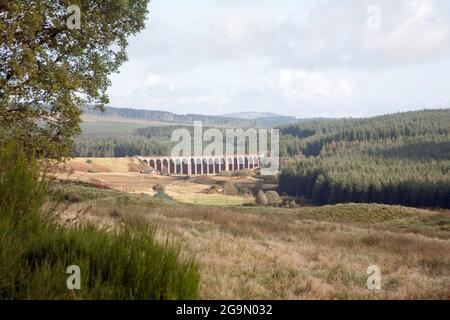 The Big Water of Fleet Viaduct at Drommore, vicino al Gatehouse of Fleet Dumfries e Galloway Scotland Foto Stock