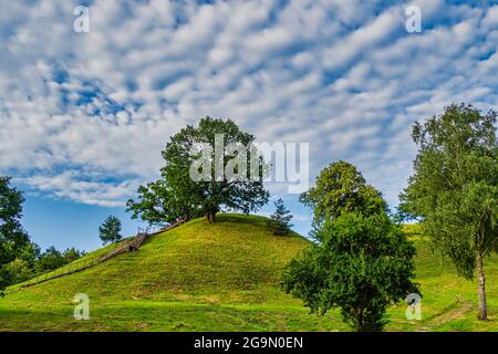 Alytus Castle Mound, scale di legno per la cima del tumulo Foto Stock