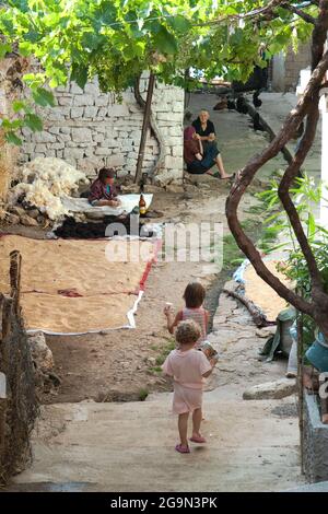 LIN, Albania - 15 luglio 2011: La vita quotidiana in un cortile con donne anziane e bambini; all'ombra della pergola, alcune donne parlano e un altro io Foto Stock