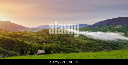 Fantastica mattinata nebbiosa e erba luminoso alla luce del sole. Carpazi, Ucraina, l'Europa. Foto Stock