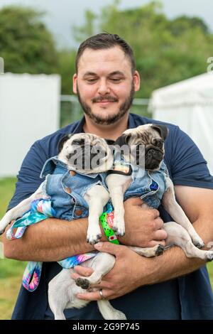 Un uomo che tiene due cani da pug allo Standon Calling Music Festival 2021 Hertfordshire UK Foto Stock