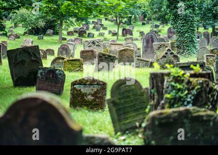 Worm, Germania. 27 luglio 2021. Numerose lapidi si trovano nel cimitero di 'Santa sabbia'. Il più antico cimitero ebraico d'Europa ha circa 2000 tombe. Per la prima volta, l'UNESCO ha designato i beni culturali ebraici in Germania come siti Patrimonio dell'Umanità, con l'ambito premio destinato ai cosiddetti siti Schum di Magonza, Worms e Speyer come culla dell'ebraismo europeo. Credit: Frank Rumpenhorst/dpa/Alamy Live News Foto Stock