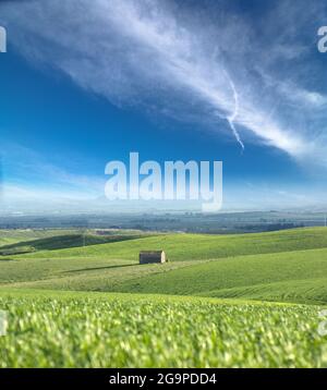 piccola casa su prati verdi contro il cielo blu Foto Stock