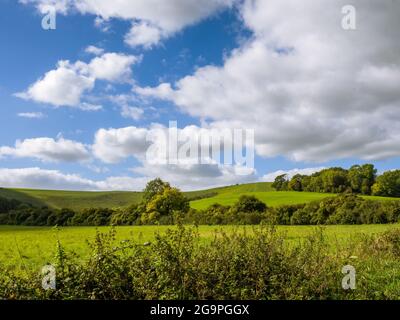 Wolstonbury Hill visto dalla strada a ponte di New Way Lane, Clayton, Sussex, Regno Unito in una soleggiata giornata autunnale. Foto Stock